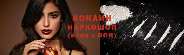 соль ск Белокуриха