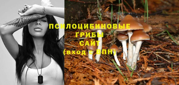 соль ск Белокуриха