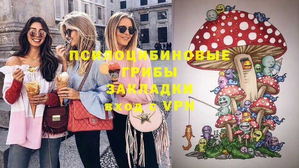 соль ск Белокуриха