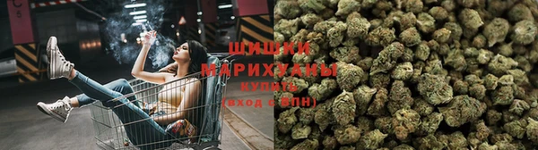 прущие крисы Беломорск