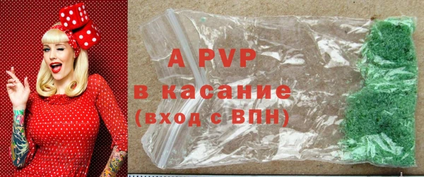 прущие крисы Беломорск