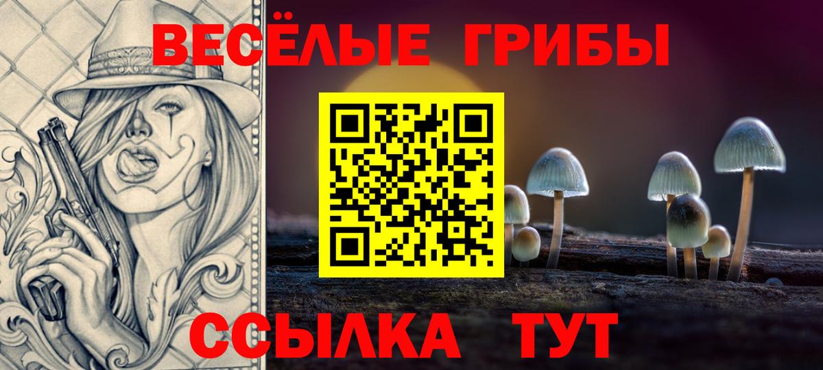 Галлюциногенные грибы Cubensis Бузулук