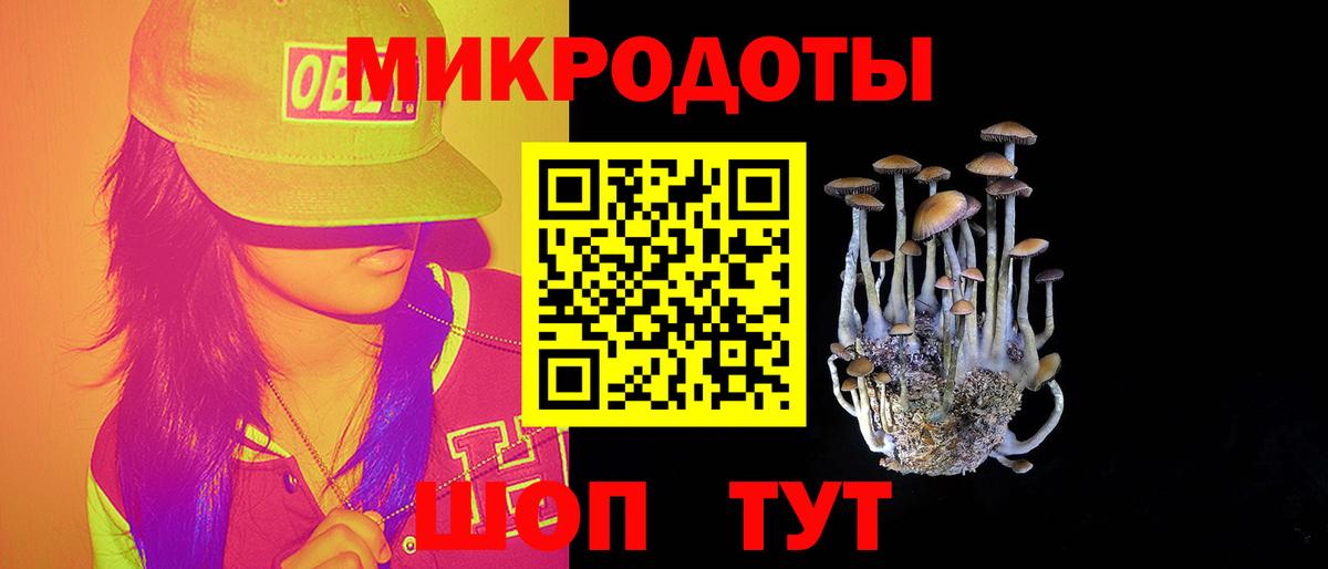 Галлюциногенные грибы Psilocybine cubensis  цена наркотик  Бузулук  Вход с VPN 